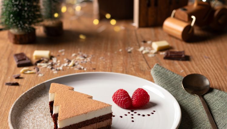 112630 TWO CHOCOLATE CHRISTMAS TREE (1)