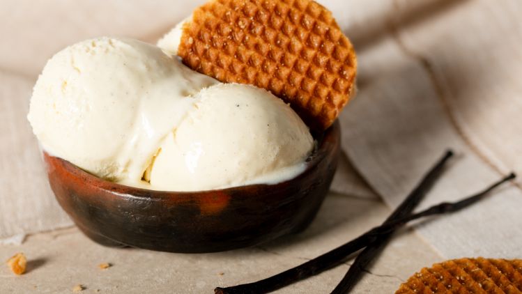 23009 Gelato Vaniglia