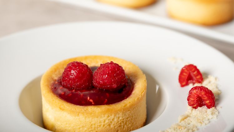 81711 Cheesecake Lampone